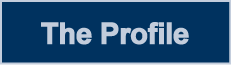 Sales Force Profile